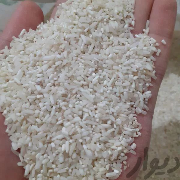 برنج ایرانی لاشه معطر مازندران