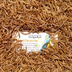 میلورم خشک ۱۰۰۰ گرم، غذای ماهی و پرنده