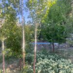 ۱۰۰۰ متر باغ ویلا (رودهن مهرآباد _خورین)سند قولنامه نسخ دار
