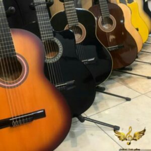 گیتار اقتصادی ( فروشگاه گیتار آویژه )