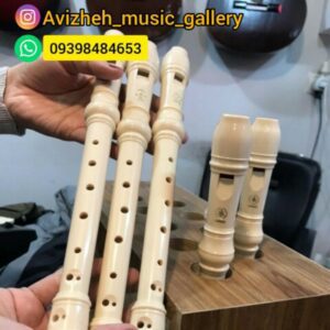 فلوت ریکوردر ( موسیقی آویژه در کرج )