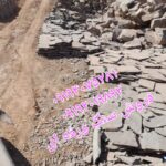 قیمت فروش سنگ لاشه