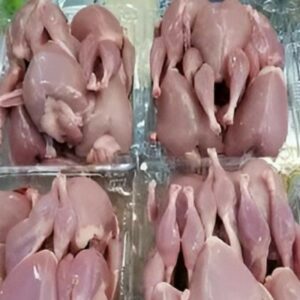 گوشت گرم وتازه بلدرچین هوفر